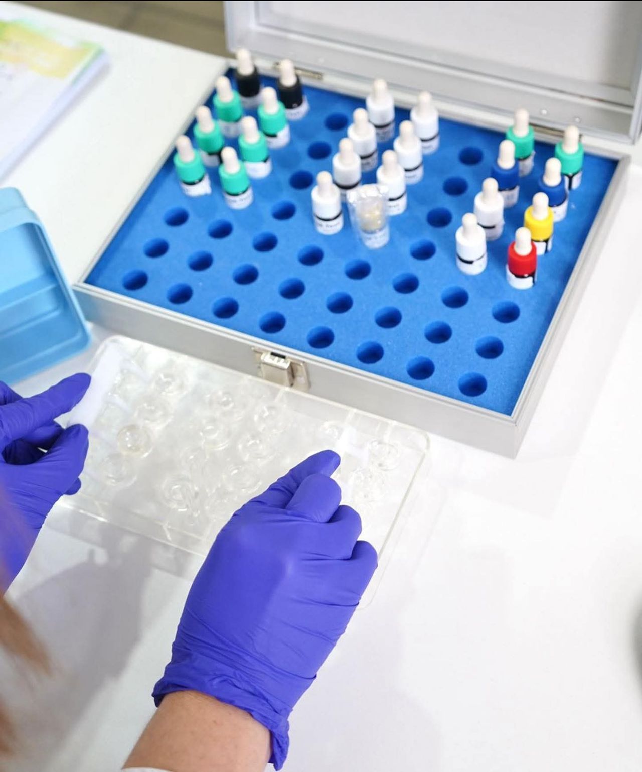 Laura Diaz Narvaez-3