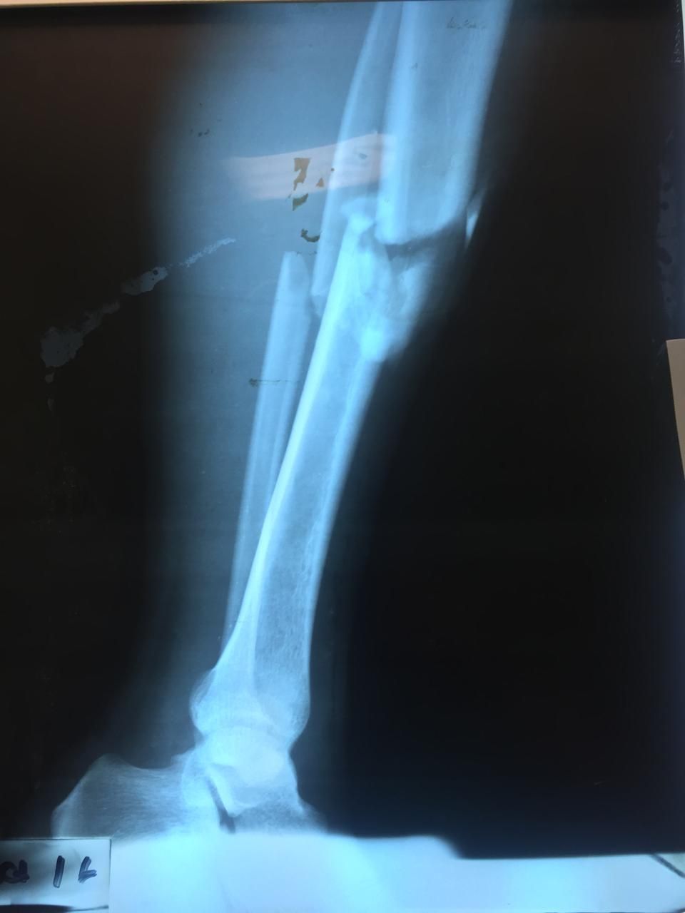 Jorge Enrique Verduzco Nuñez-8