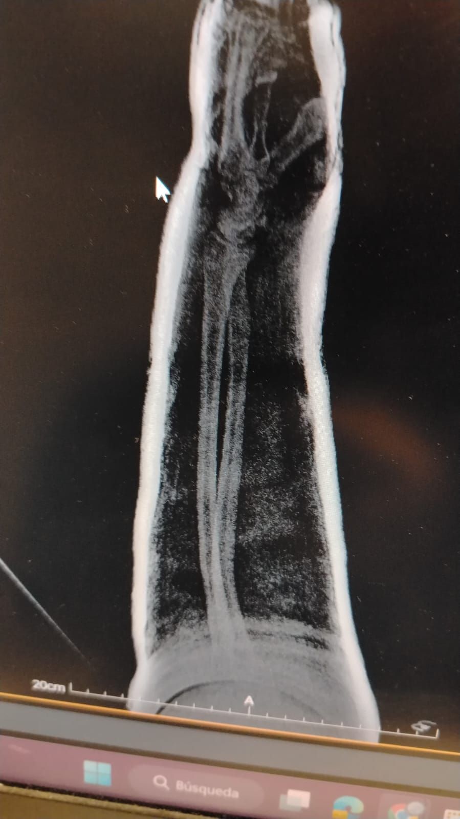 Alejandro Irisson-16