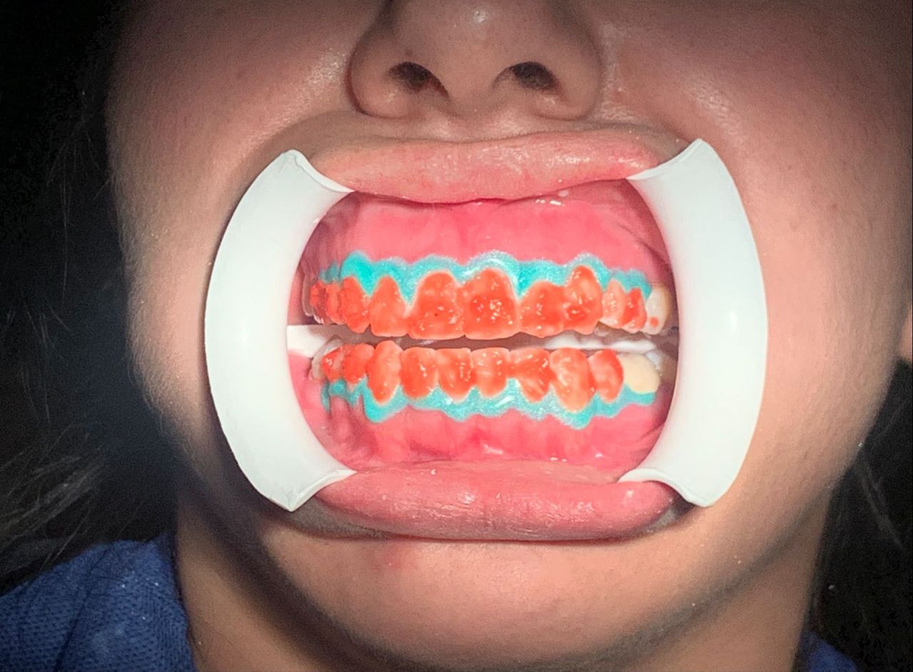 Alejandro Alcocer Flores-7