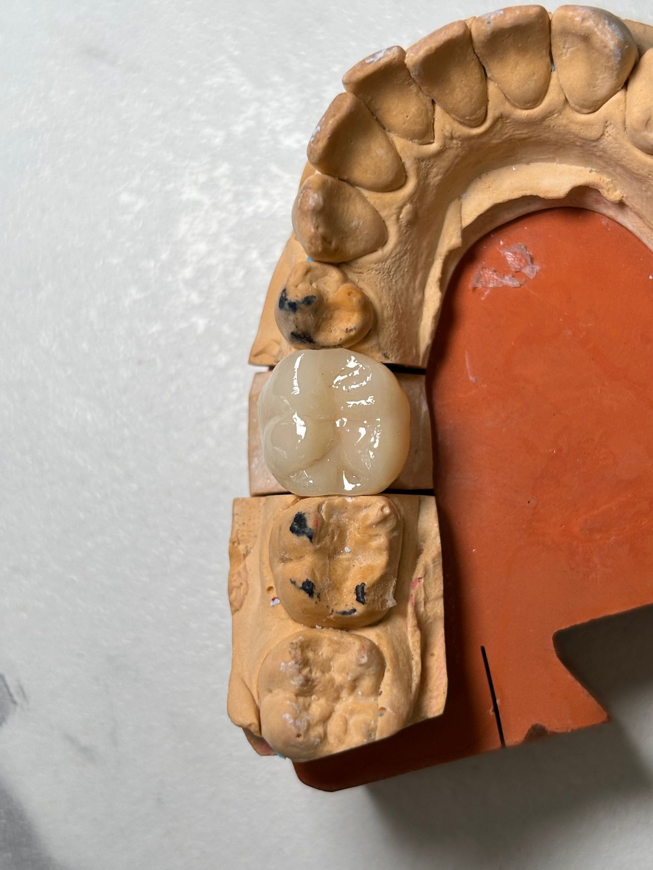 María Paula  Flores Novoa-54