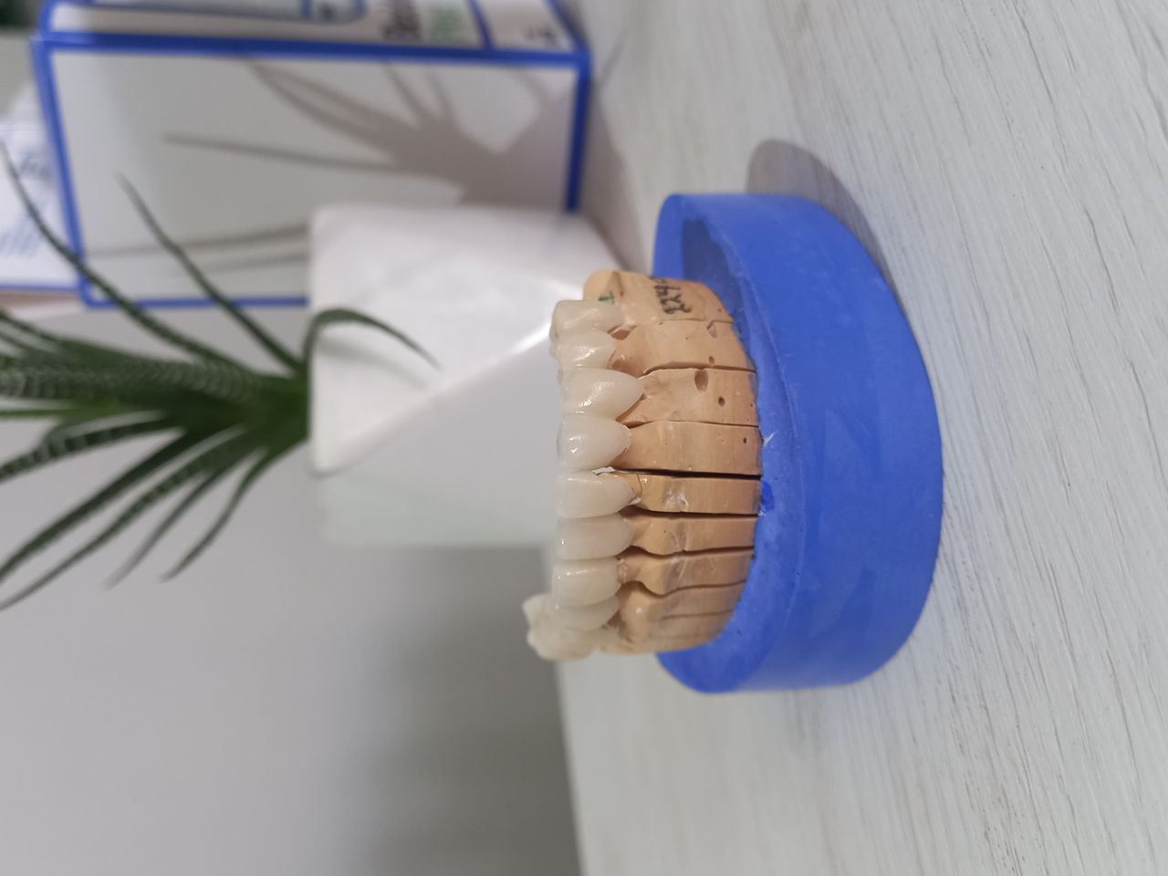 Karla I. Martinez Sosa-32