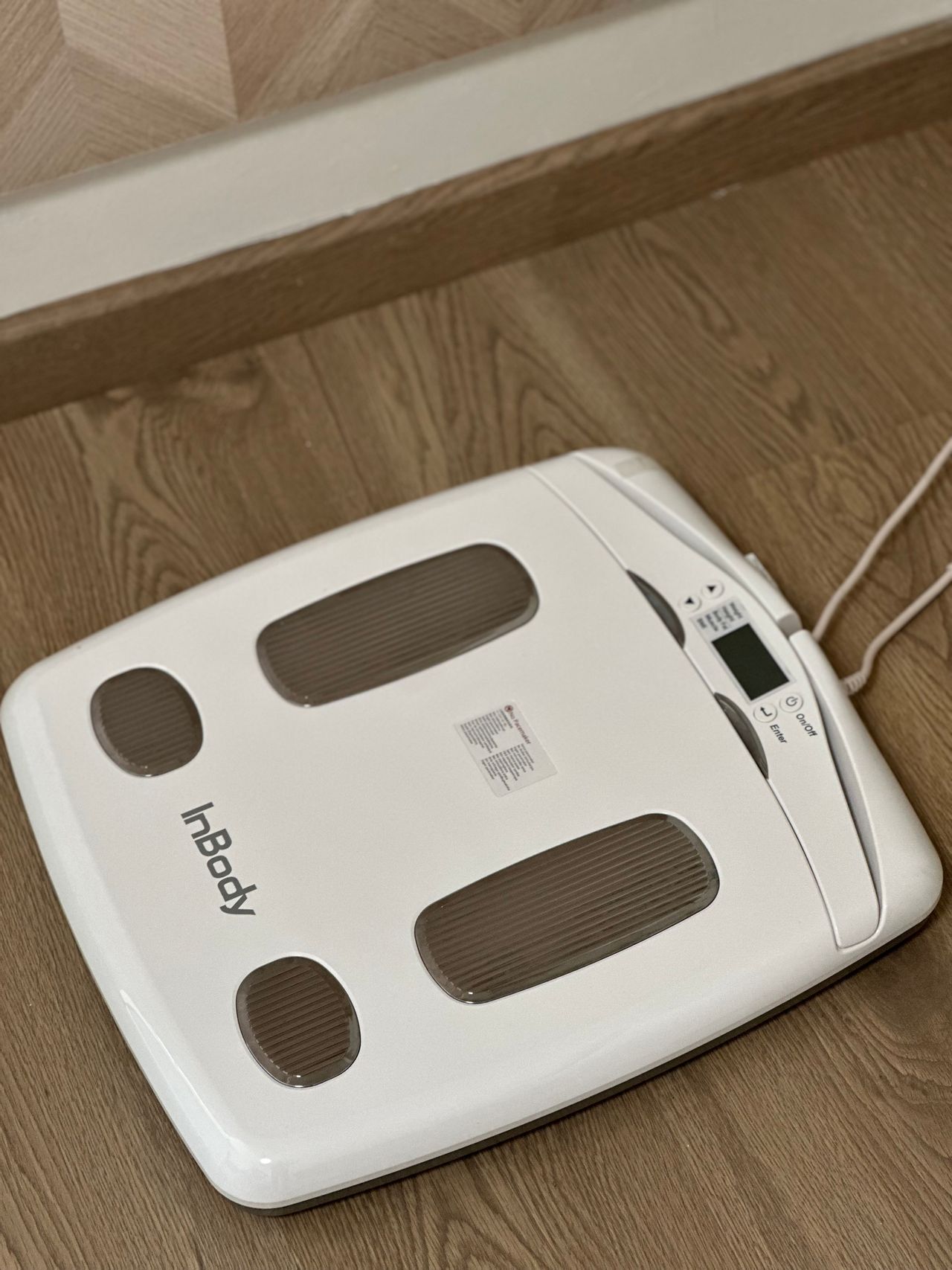 Stephany Rodriguez Arzate-3