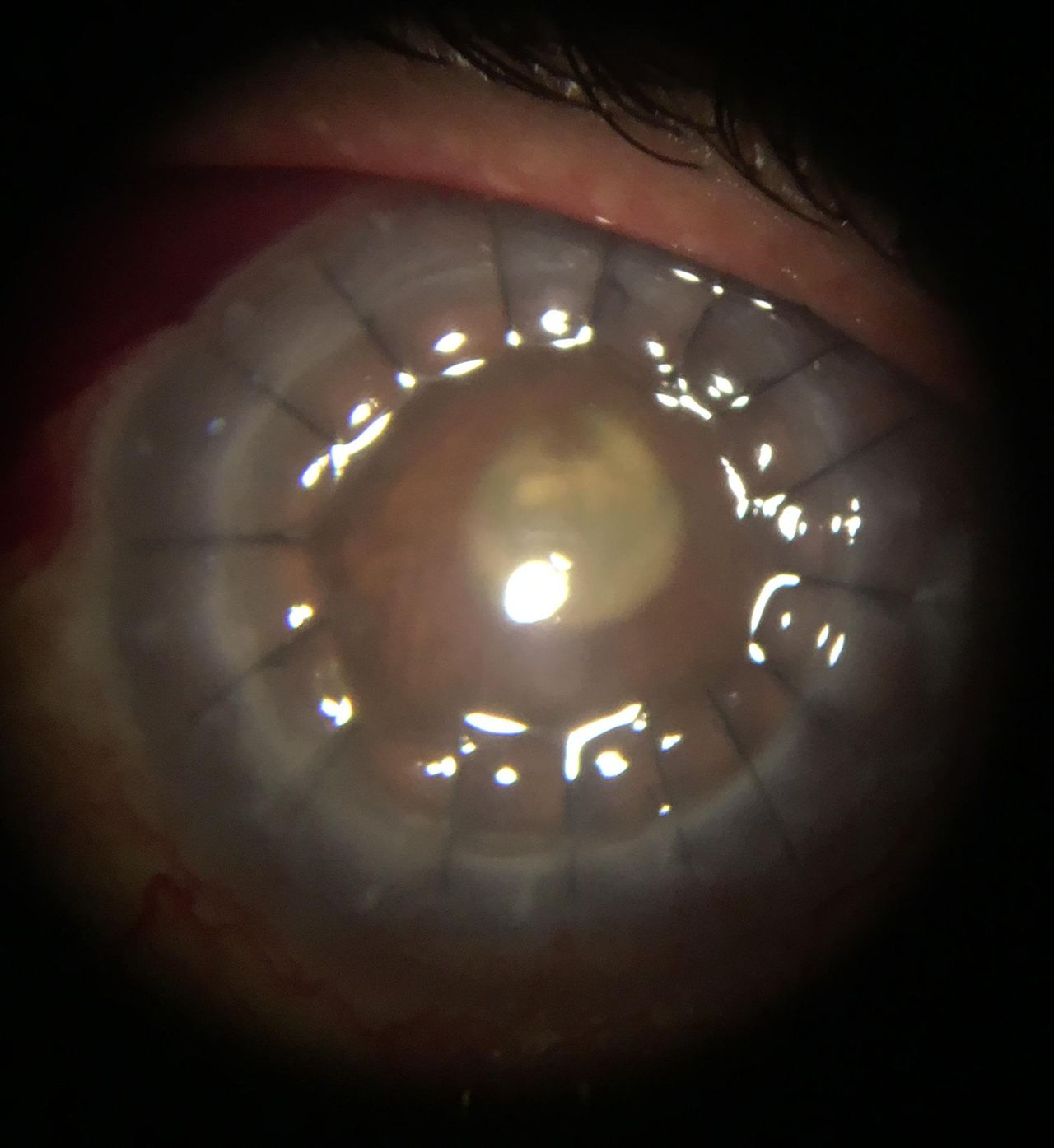 Sergio U. Gonzalez Pliego N.-1