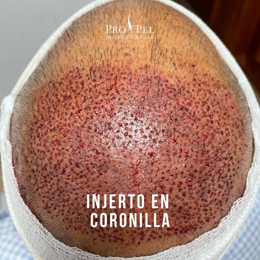 Karla Vanessa Becerra-18