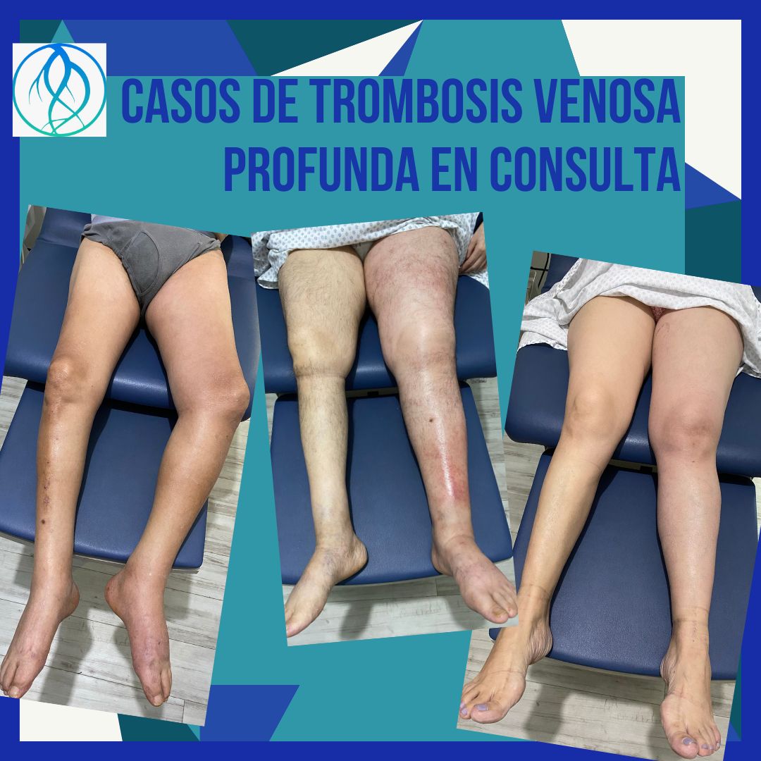 Daniela Oropeza Adame-19