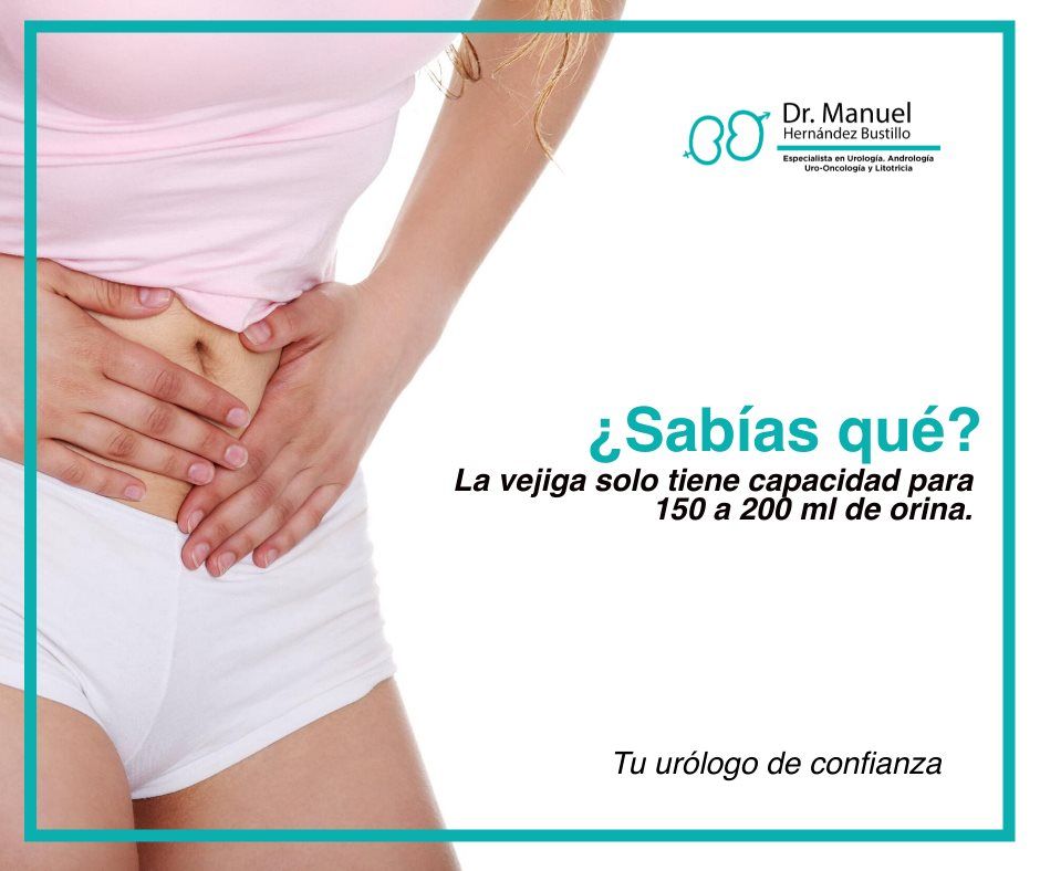 Manuel Humberto Hernandez Bustillo-6