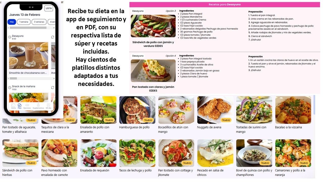 Francisco Javier Fragoso Torres-2