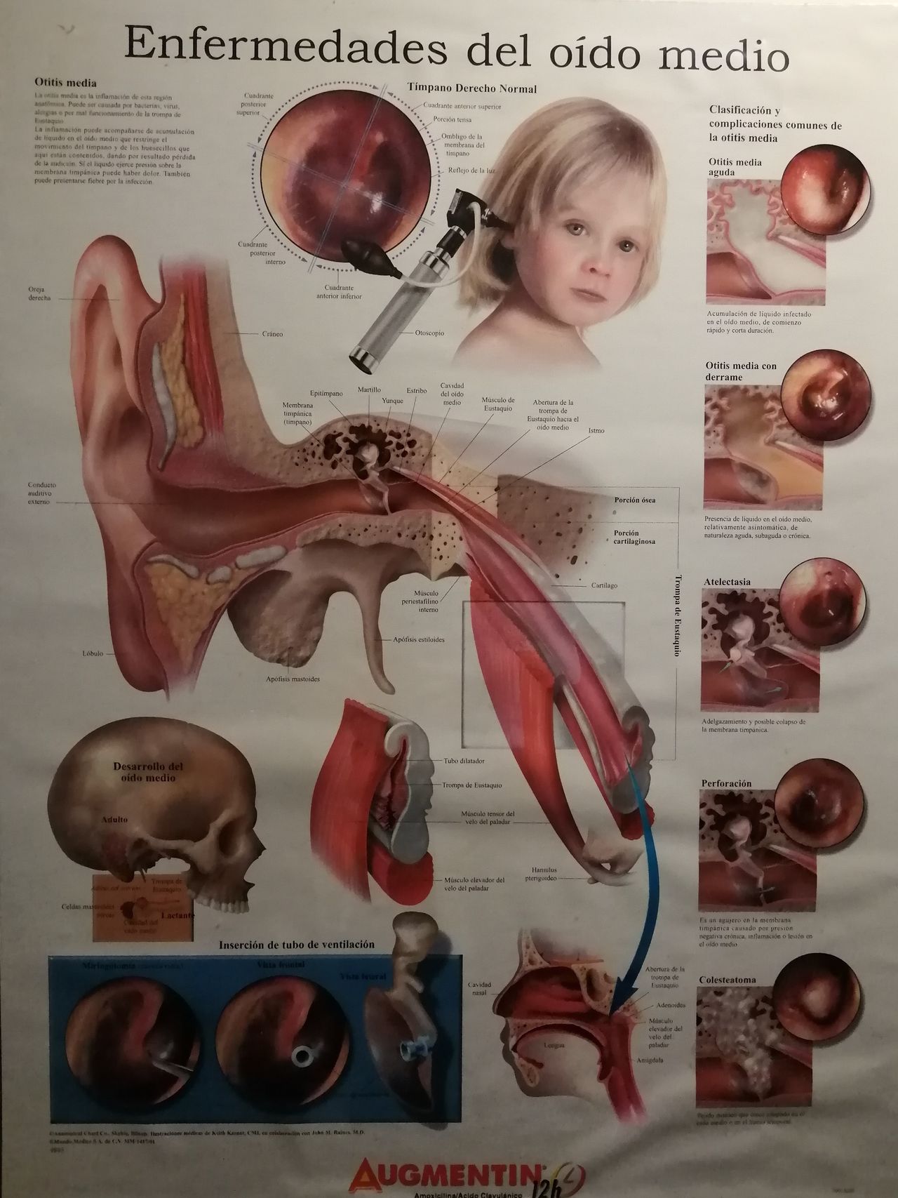 Enrique Navarro Cervantes-3