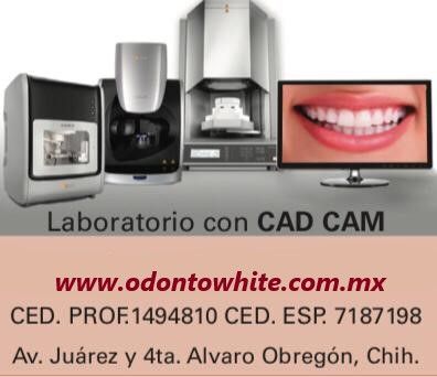 Maribel Trevizo Peña-17