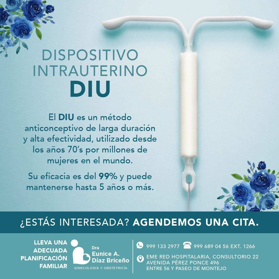 Abigail Diaz Briceño-9