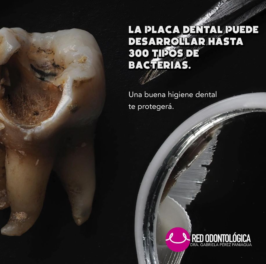 Gabriela Perez Paniagua-12