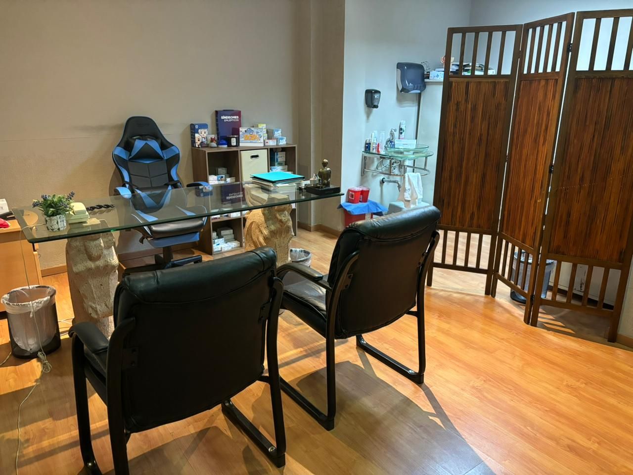 Victoria Matilde Cerino Palomino-0