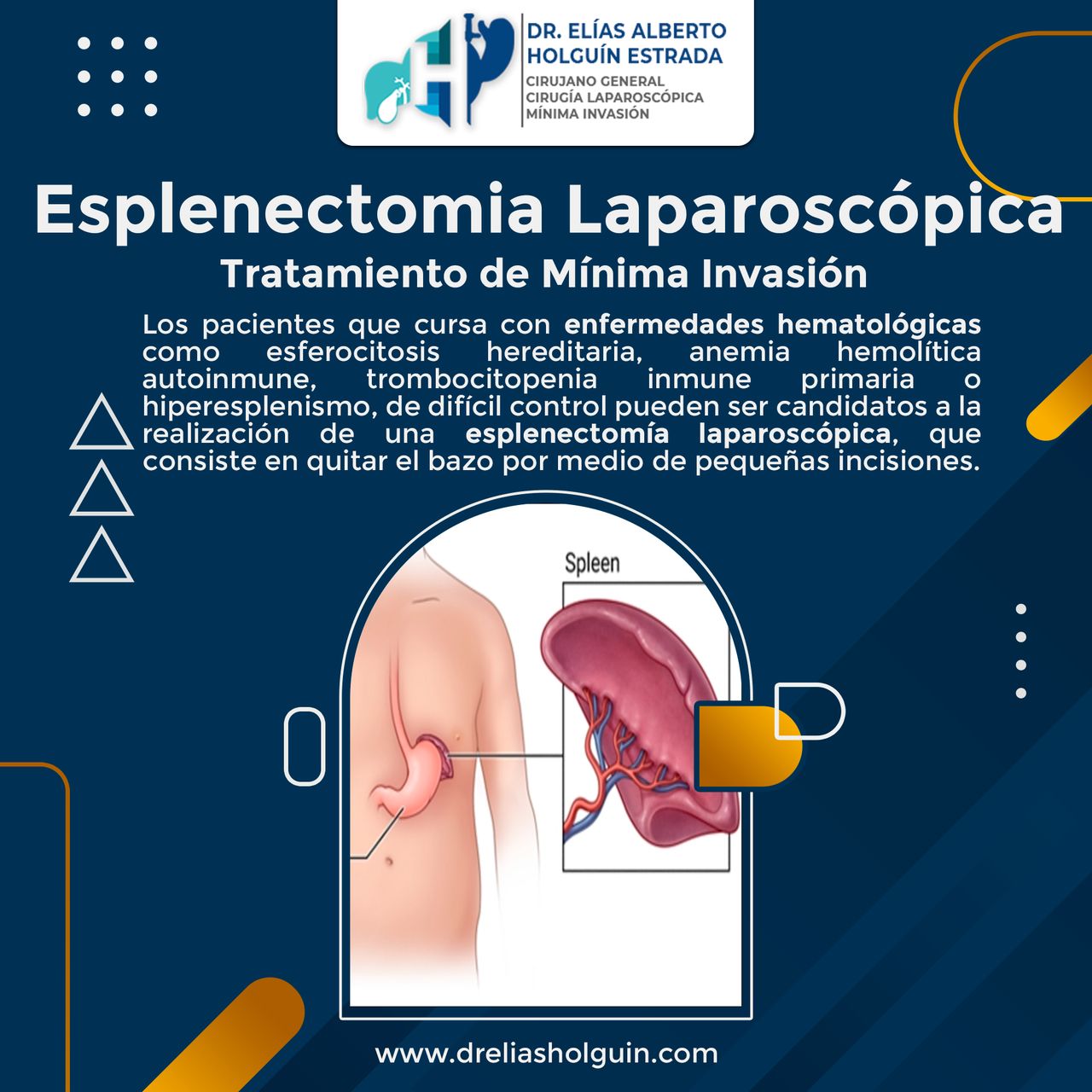 Elias Alberto Holguin Estrada-13