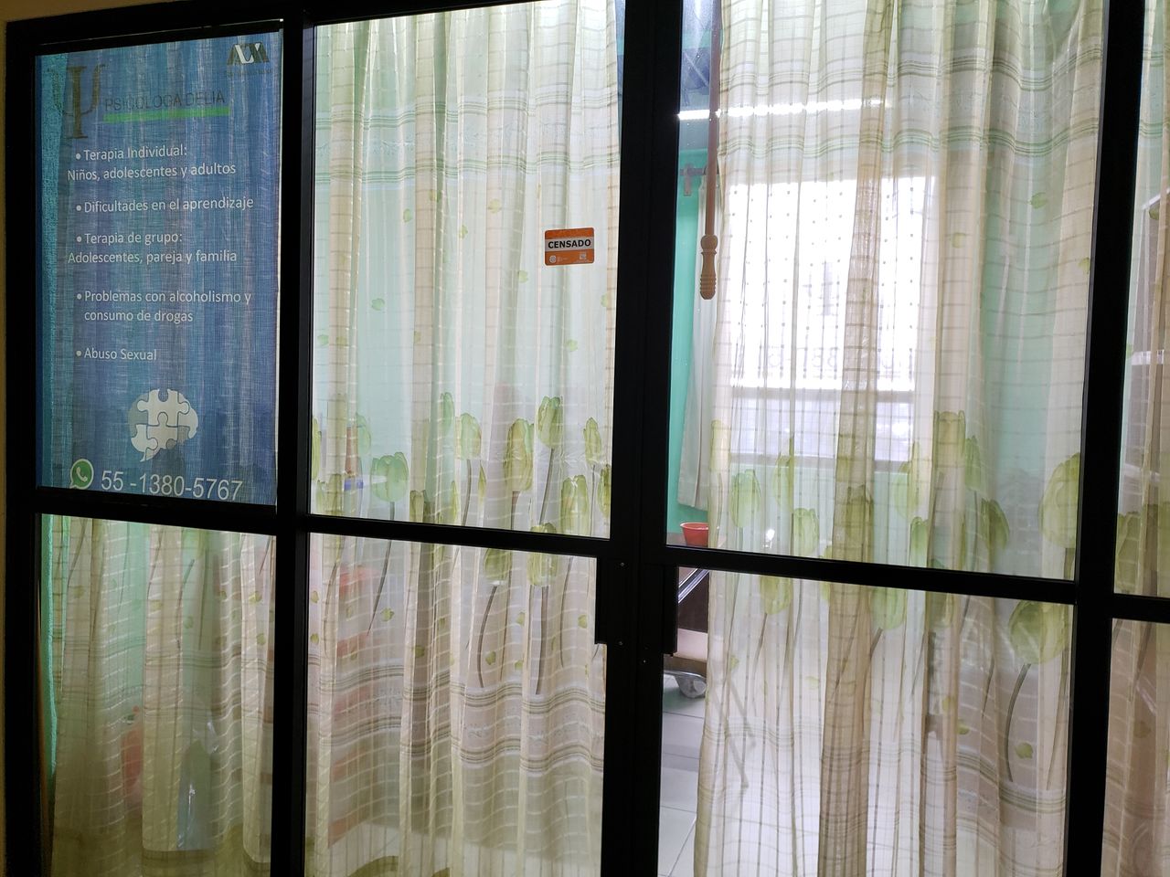 Delia Vásquez Lemus-2