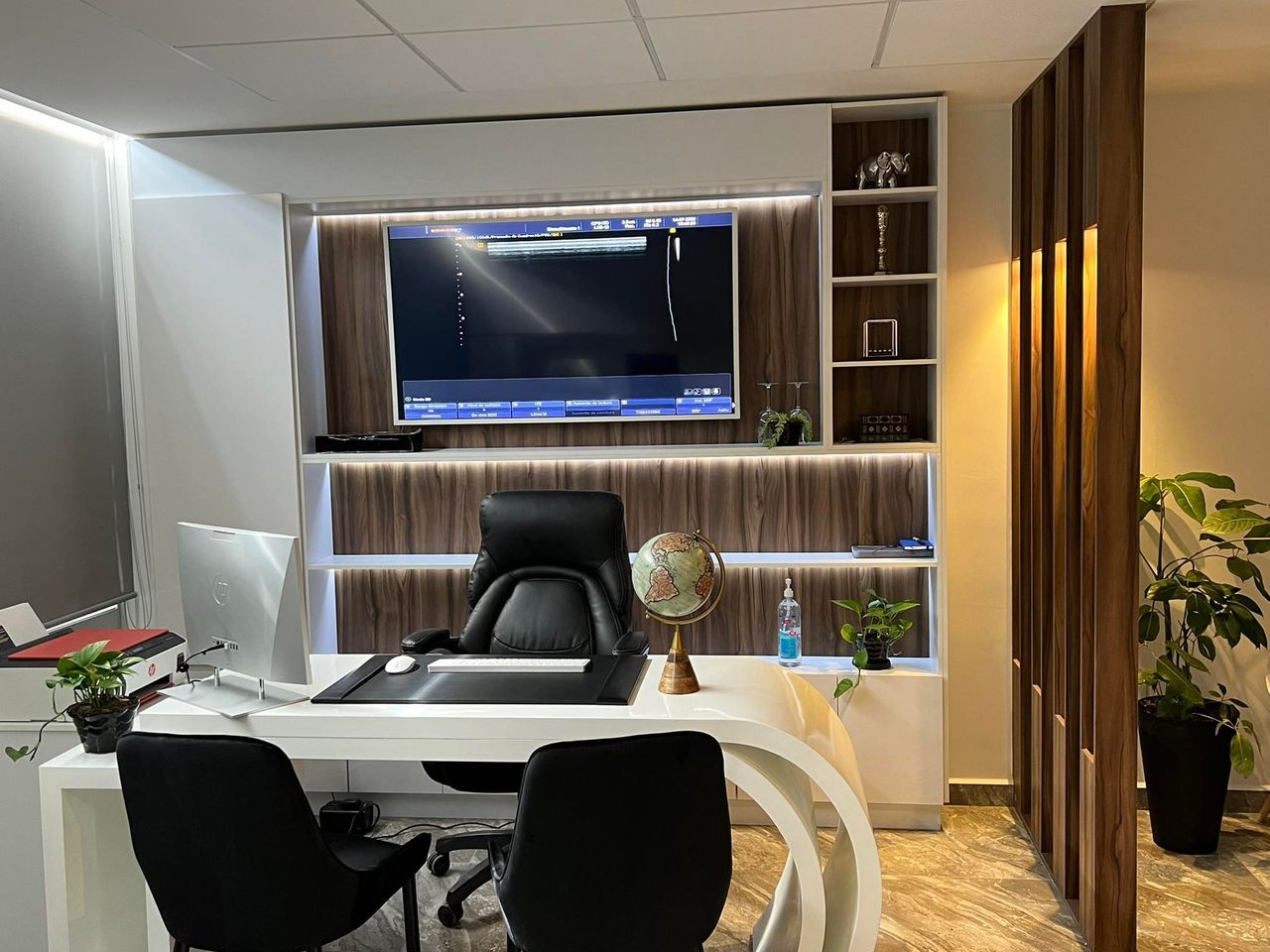 Aldo Rodrigo Negrete Avena-4