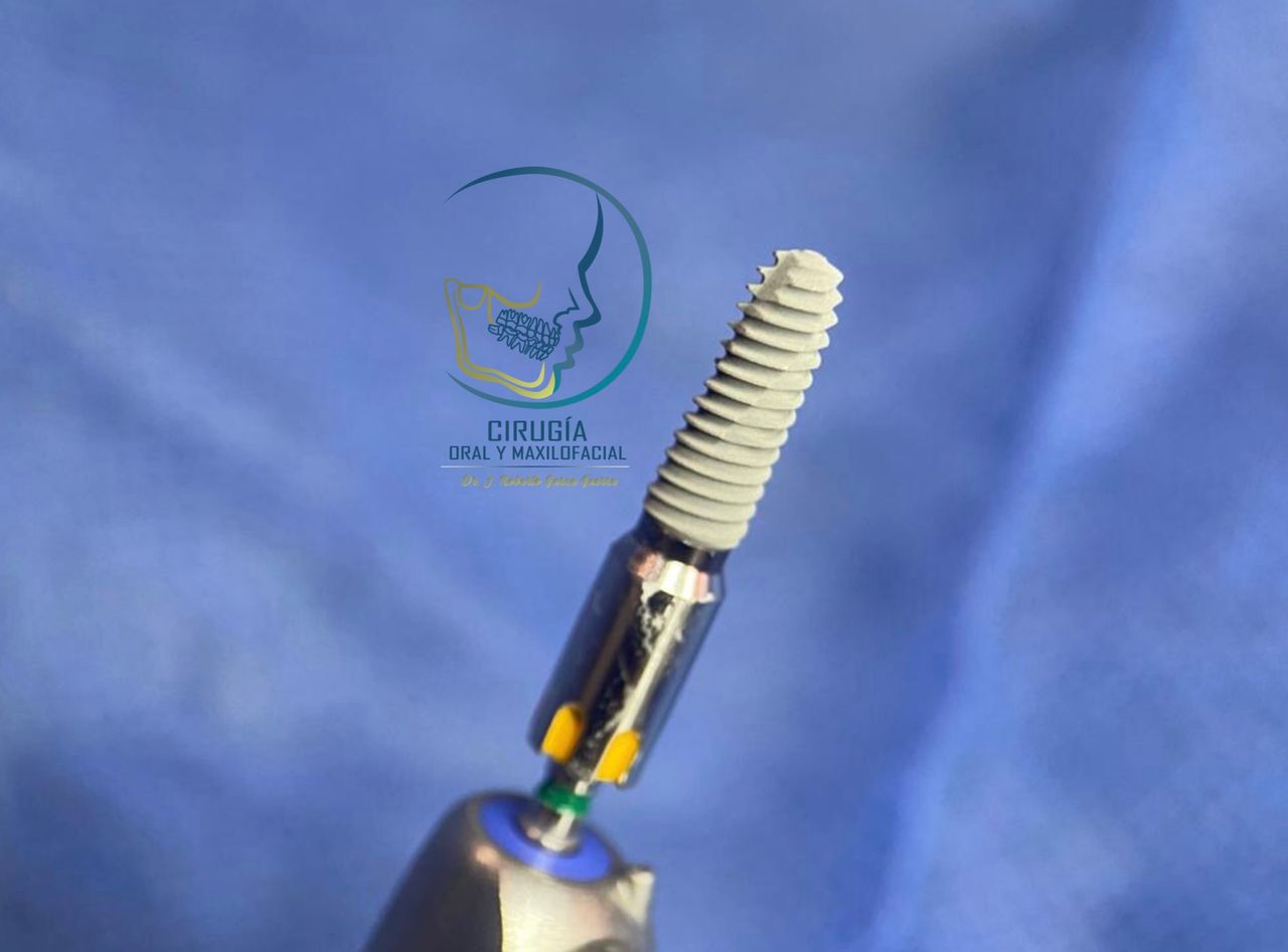 Roberto Garza Guerra-4