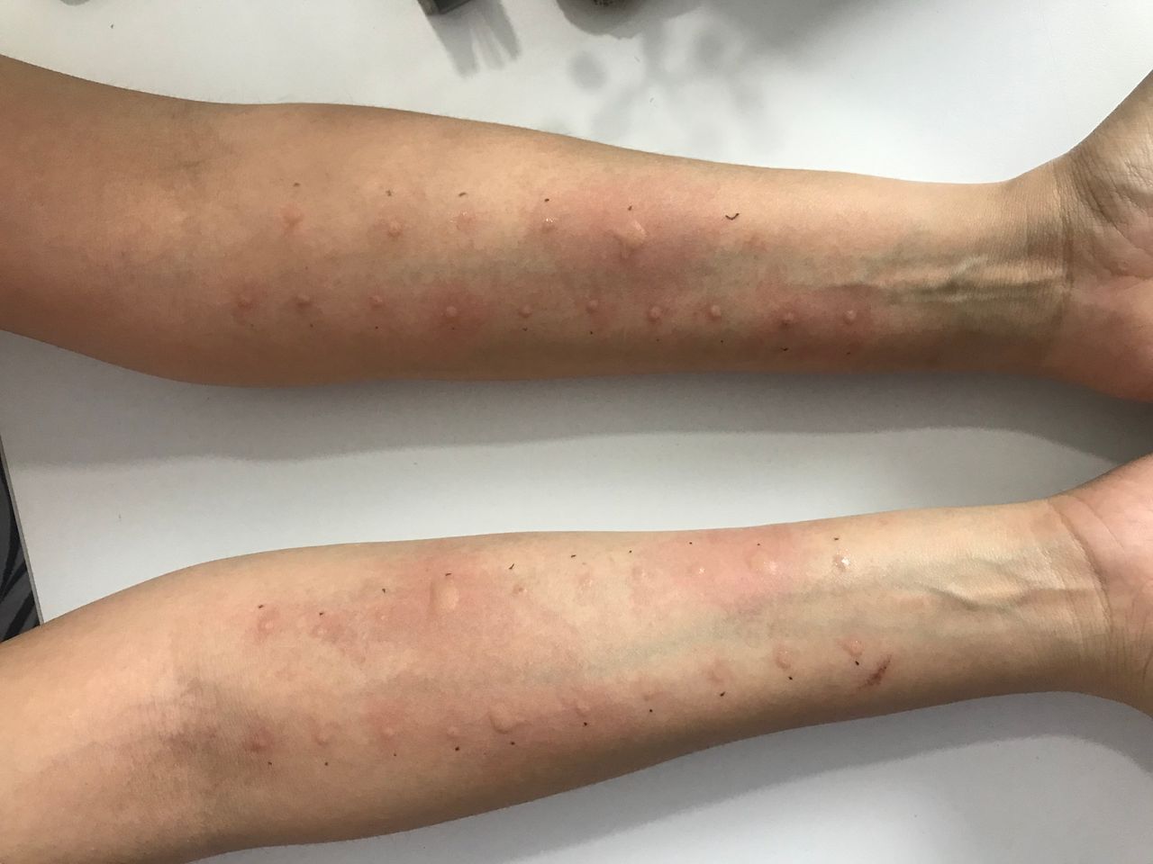 Denisse Rodríguez Sánchez-5