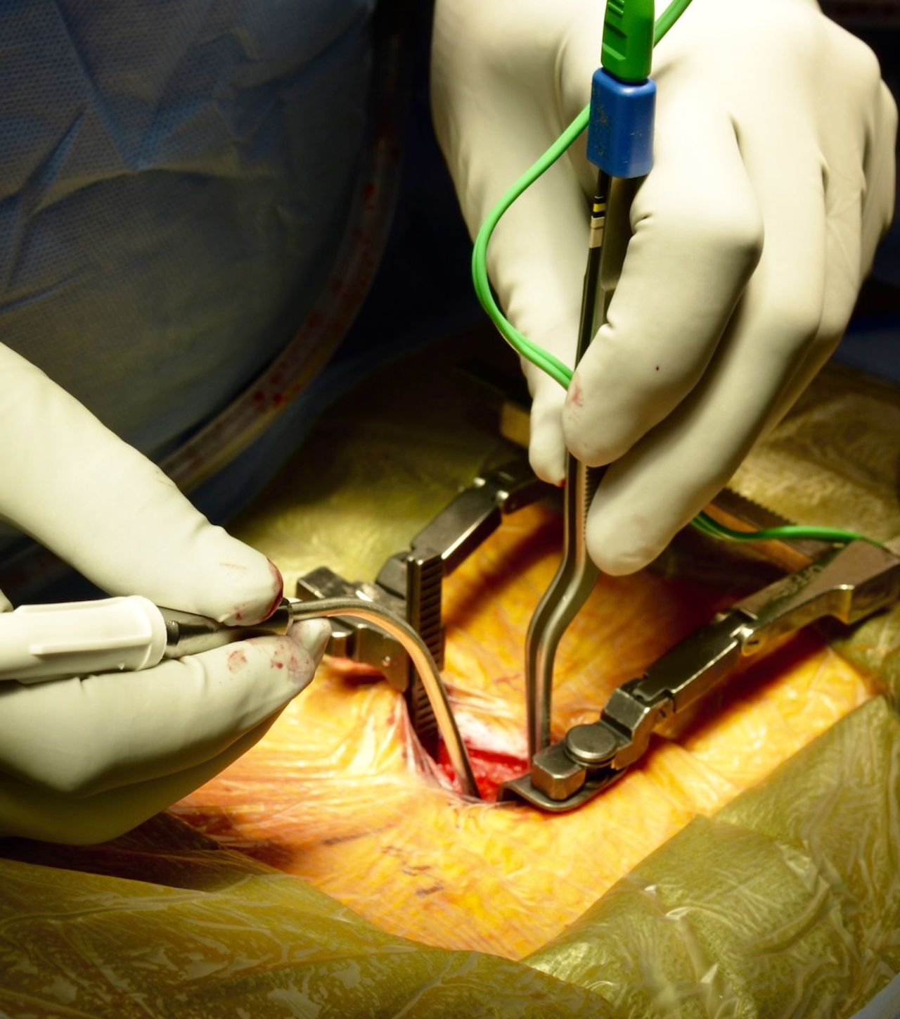 Jesus Rocha Maguey-13