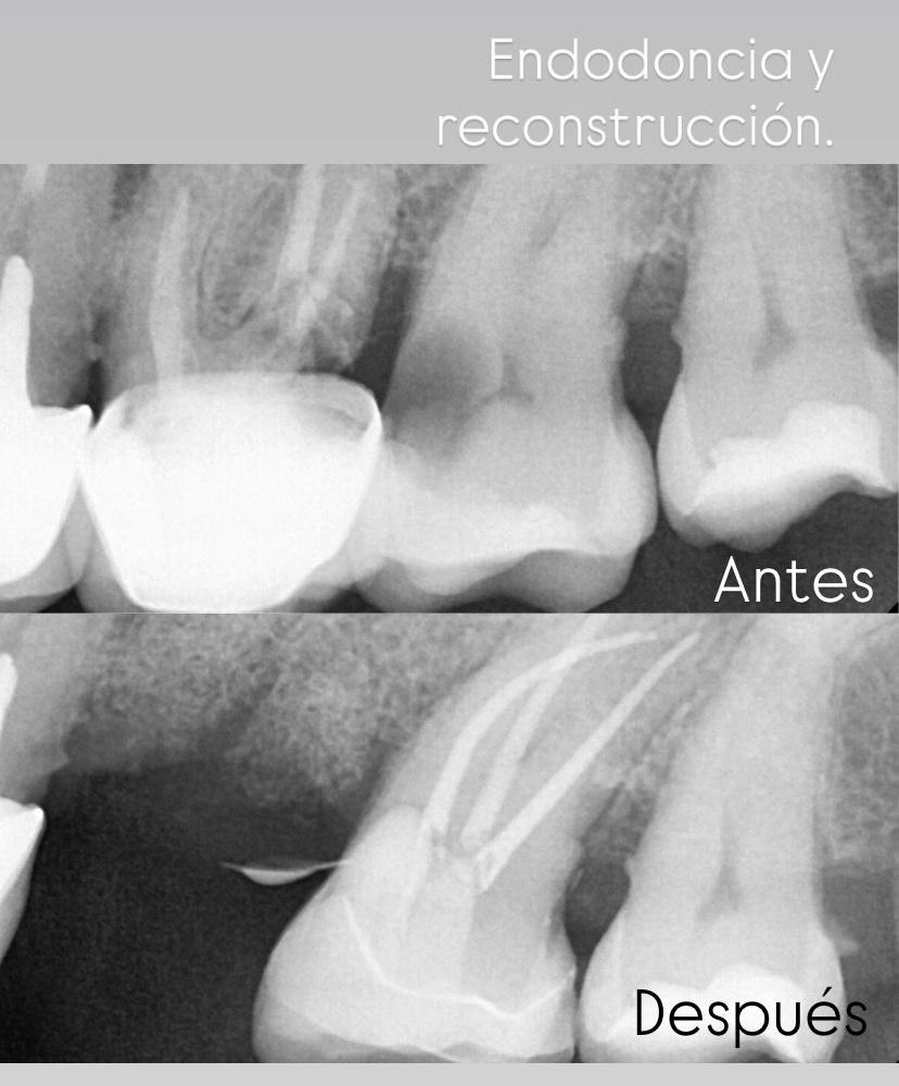 Francisco Jose Vives Serrano-38