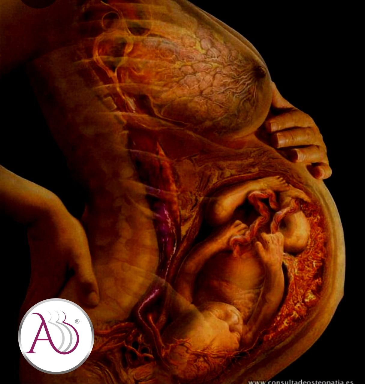 José Israel Aguirre Pérez-6