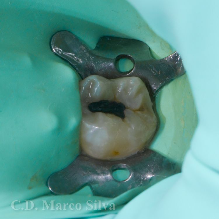 Marco Antonio Silva-14