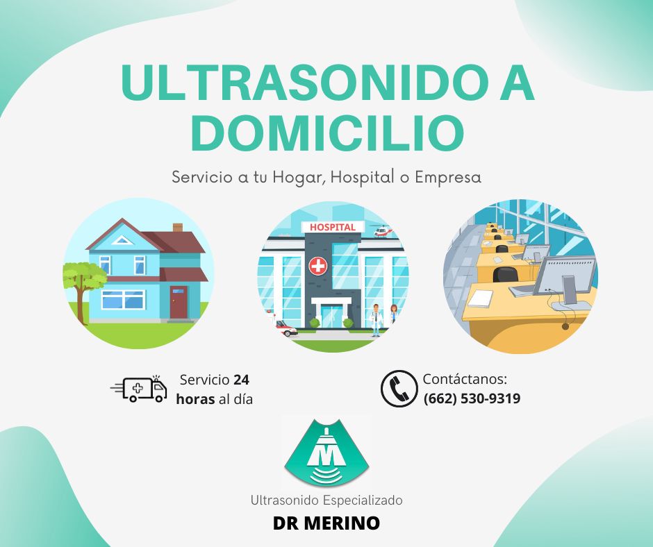 Jorge Lazaro Jesus Merino Robles-2