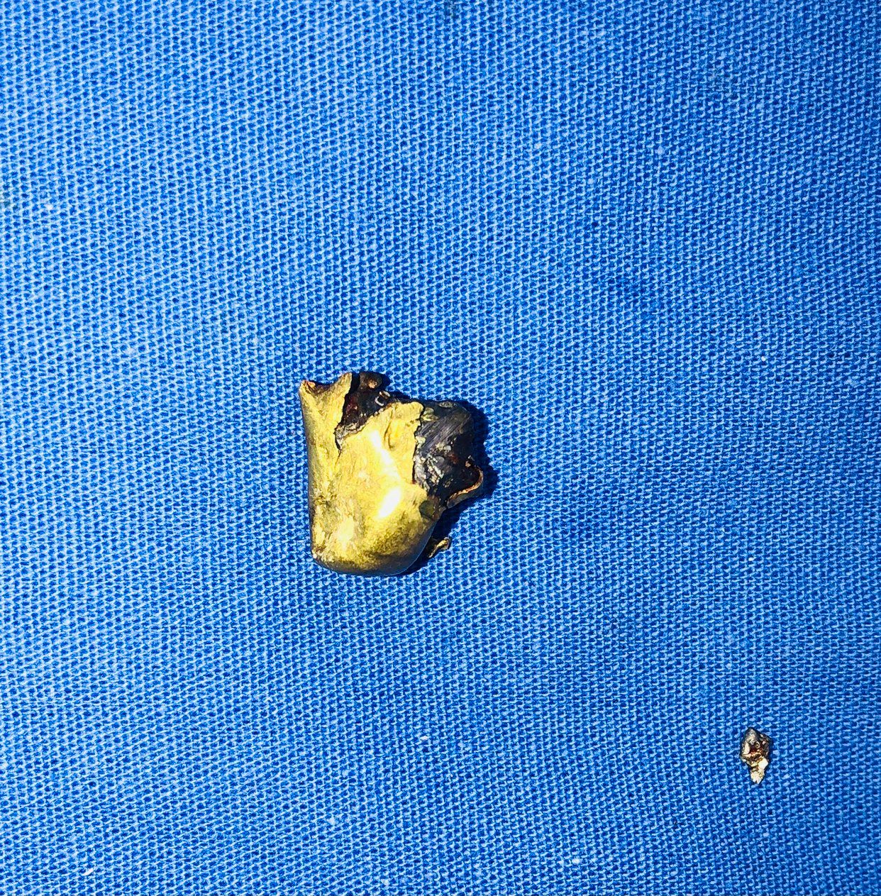 Daniela Arce-19