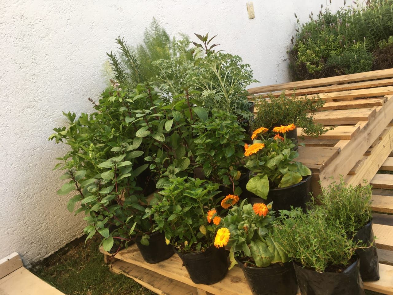 Elena Kostoglodova-12