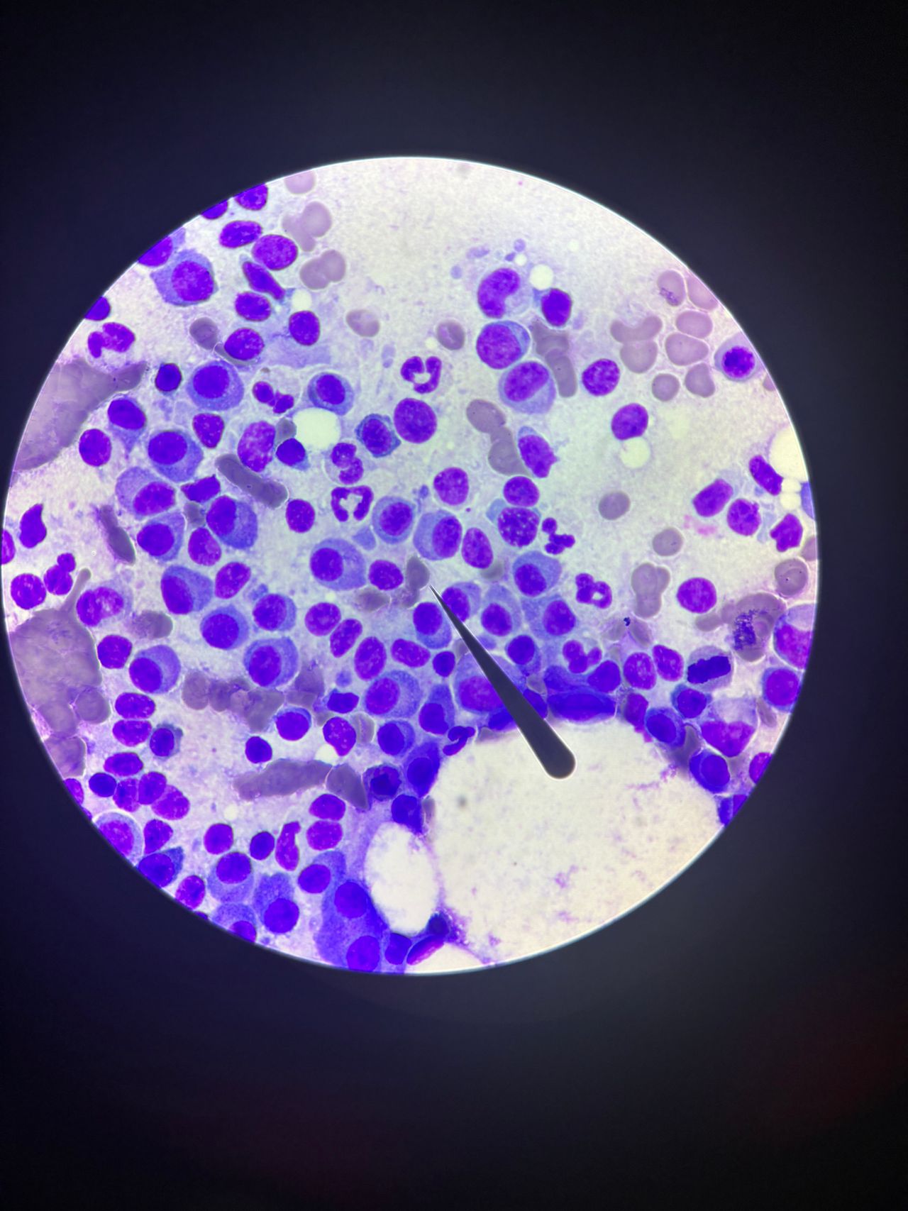 Antonio Yair Venancio Hernandez-6