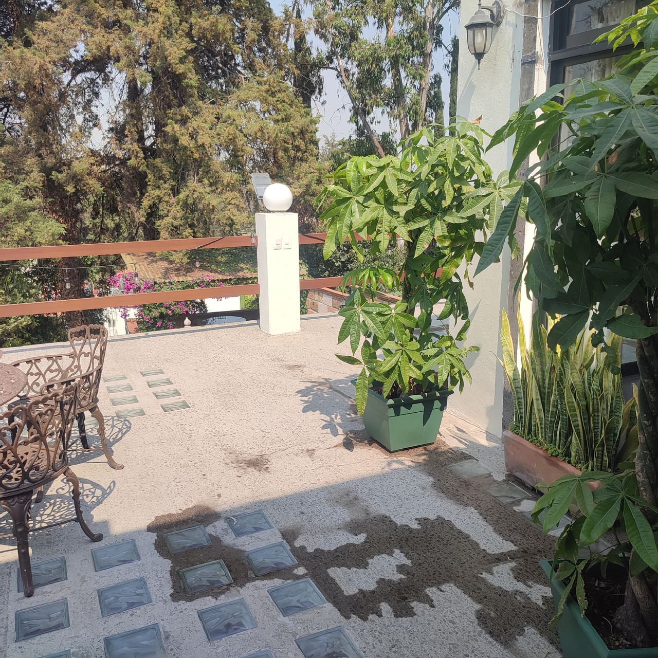 Rodolfo Uribe Millares-18