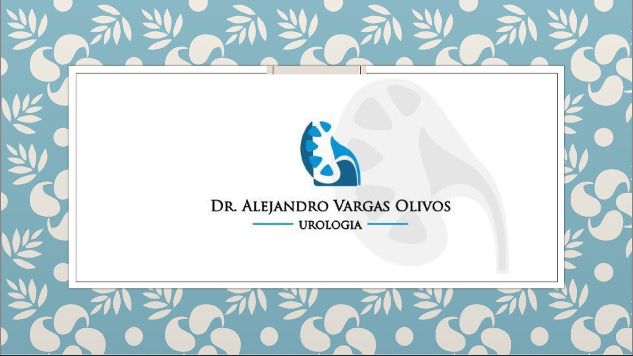 Alejandro Vargas Olivos-4