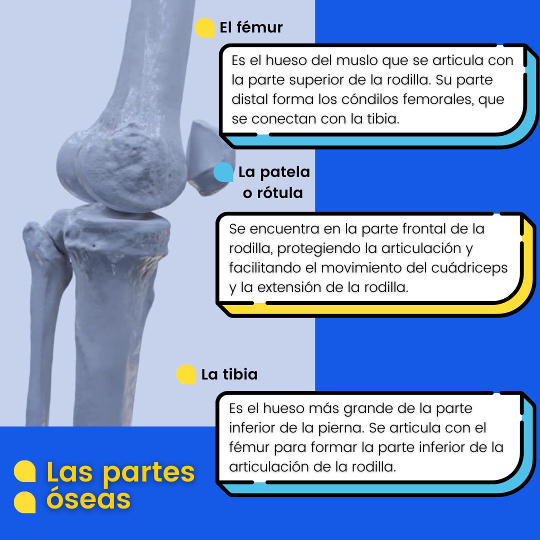 Sergio Espinosa Espinoza-3