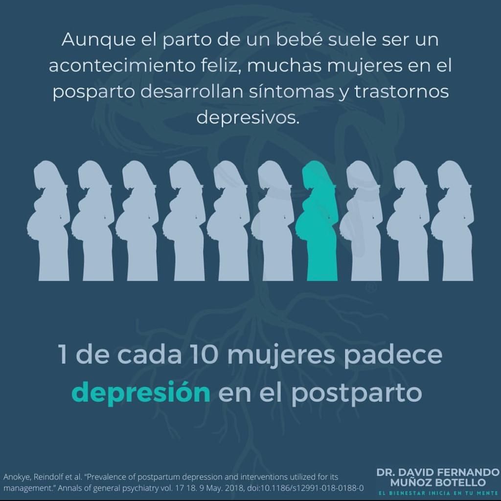 David Fernando Muñoz Botello-8