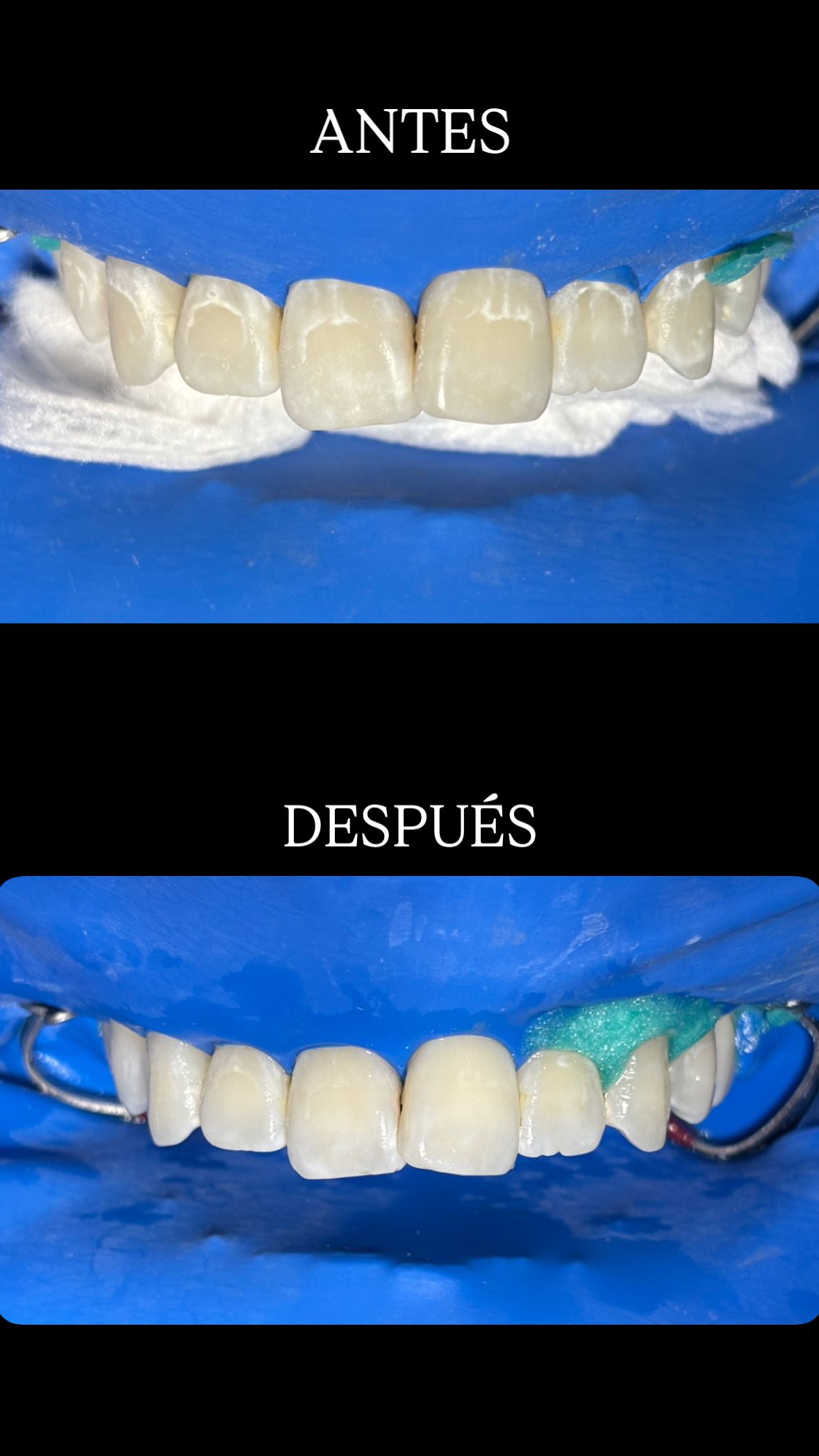 María Paula  Flores Novoa-14