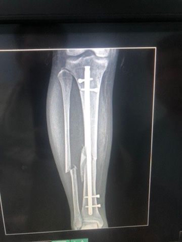 Alejandro Silva Urbieta-1