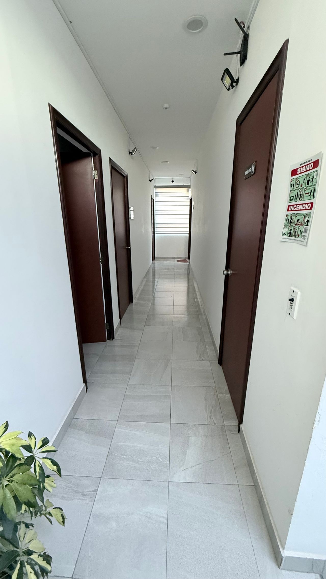 Maria De Las Nieves Casamayor Cazares-2