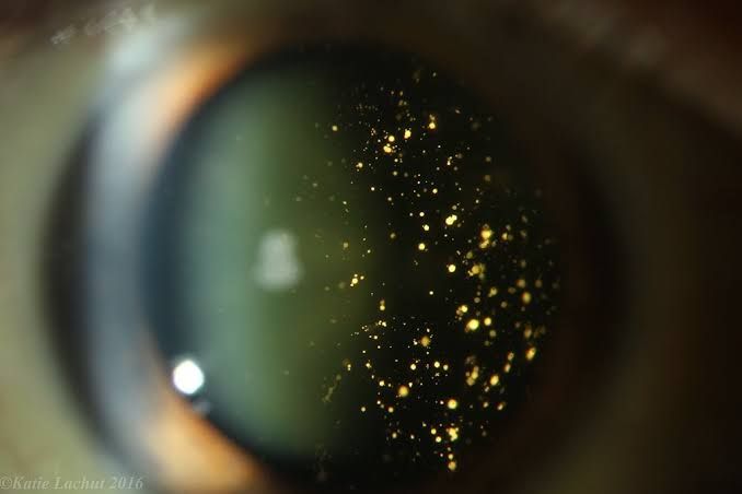 Álvaro Garza Arreola-6