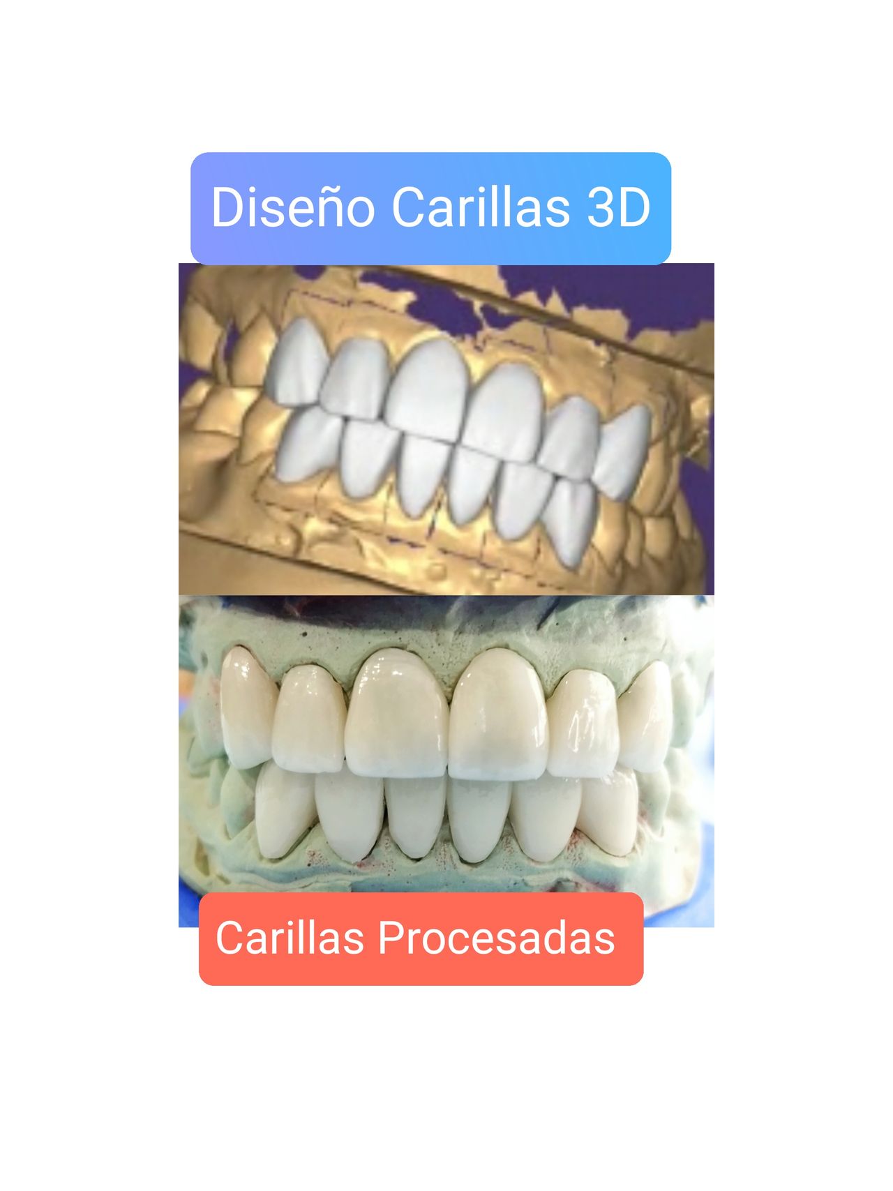 Daniel Ortiz Licea-6