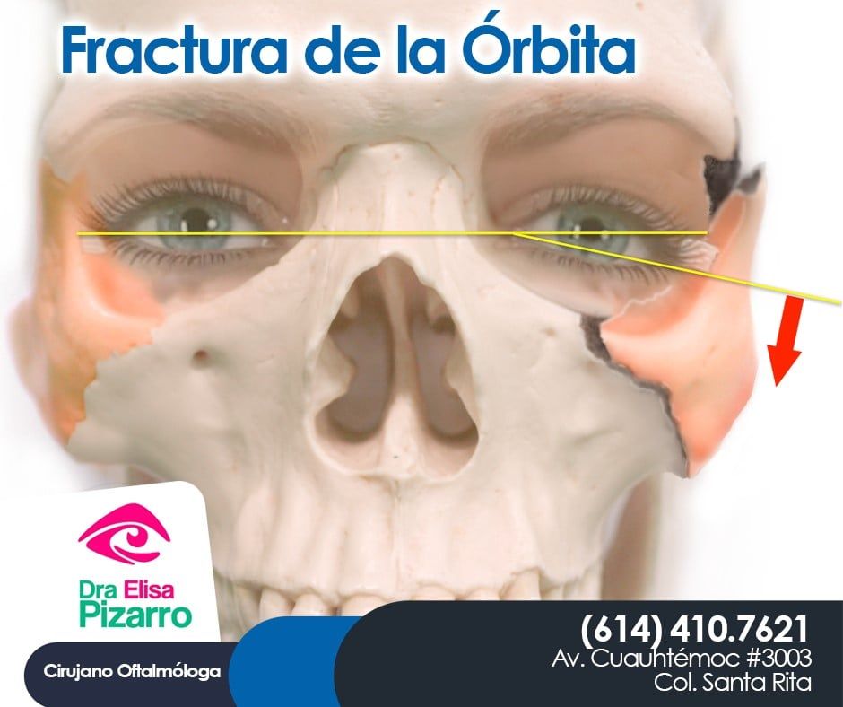 María Elisa Pizarro Barrera-5