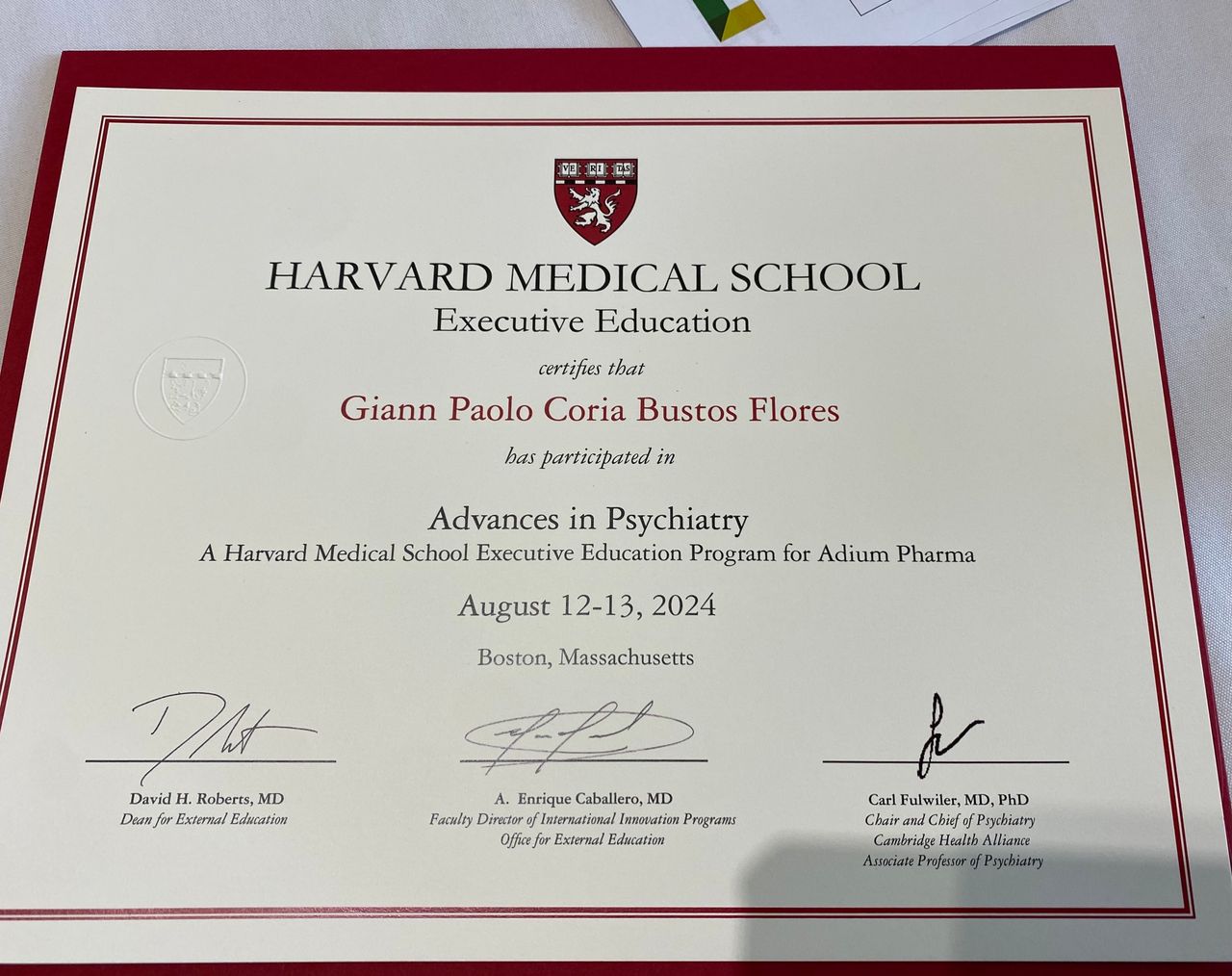 Giann Paolo Coria Bustos Flores-0