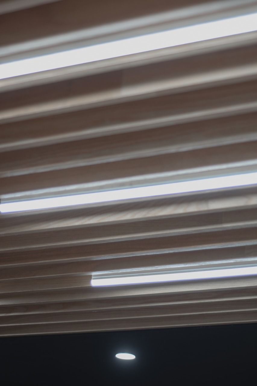 Francisco Emir Islas Zambrano-16