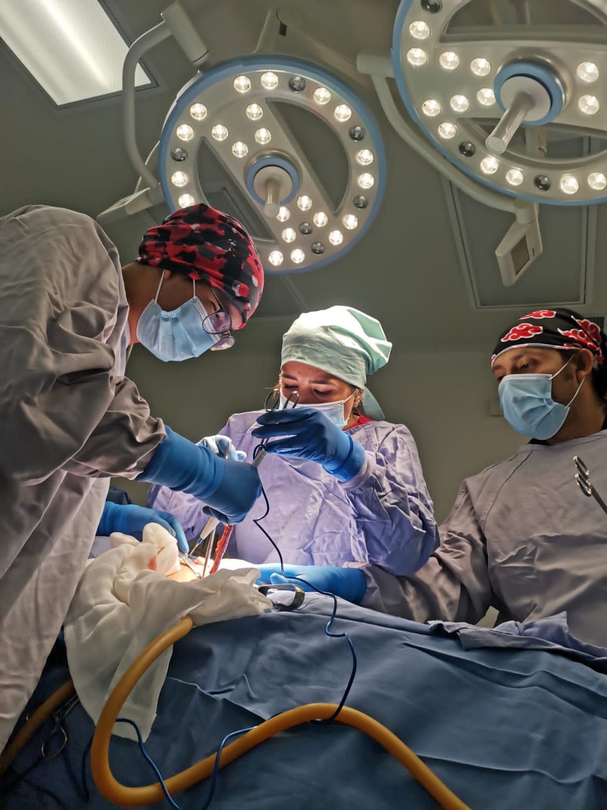 Selene Violeta Jiménez López-0