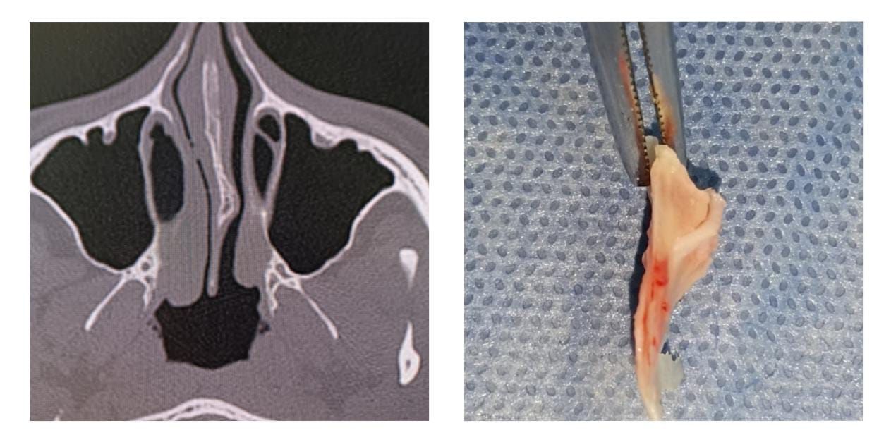 María Del Rocío Infante Delgado-4