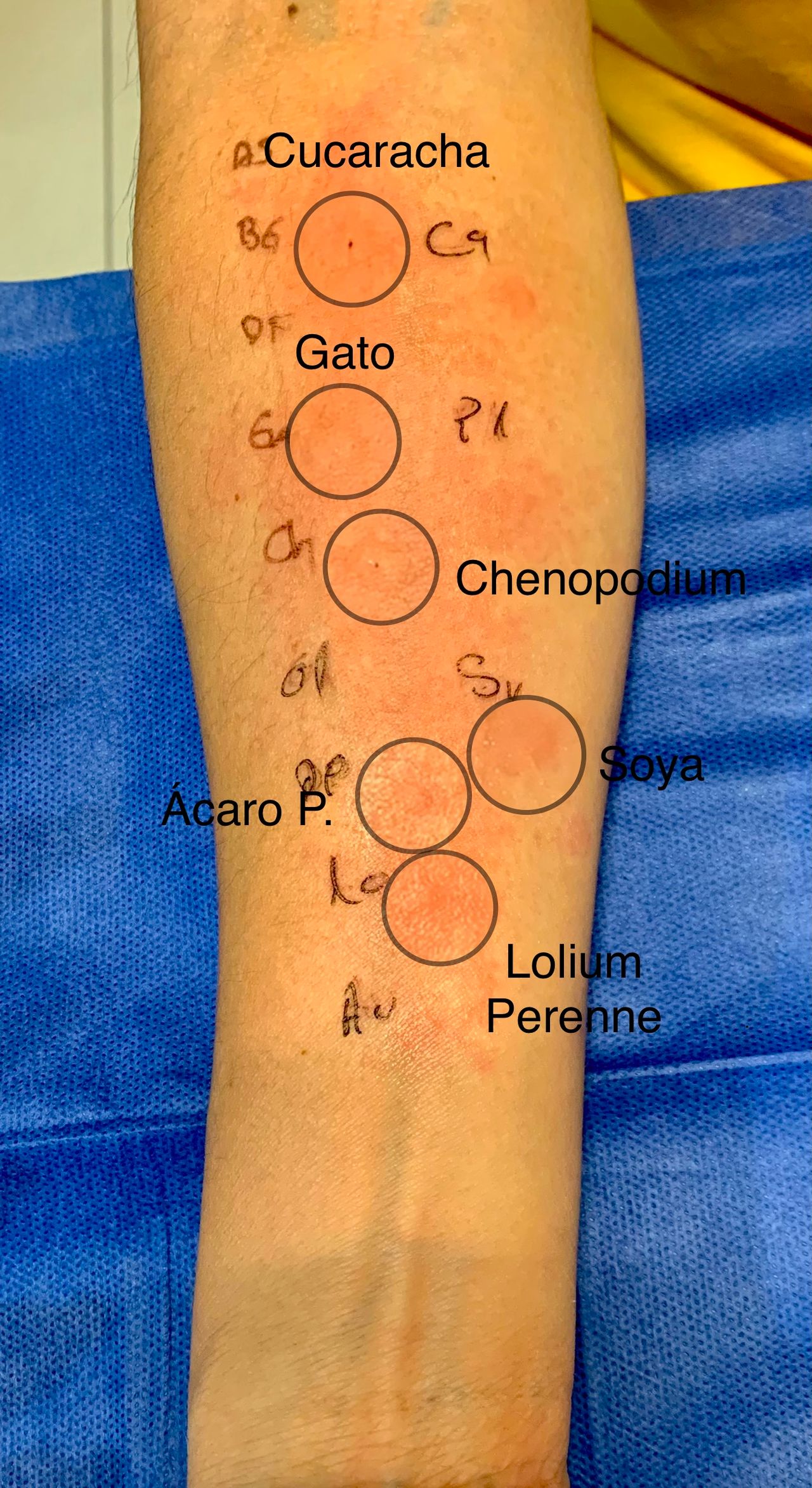 Arturo Gaspar López-12