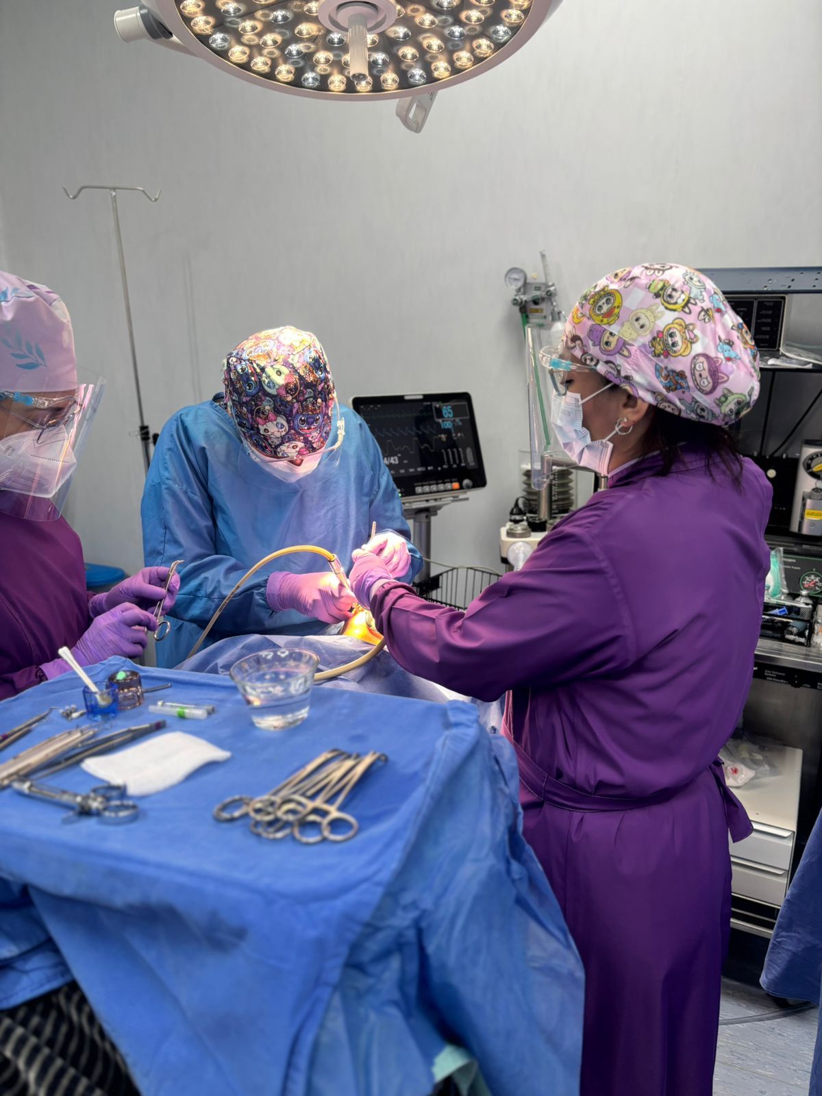 Ana Karen Aranda Pacheco-3