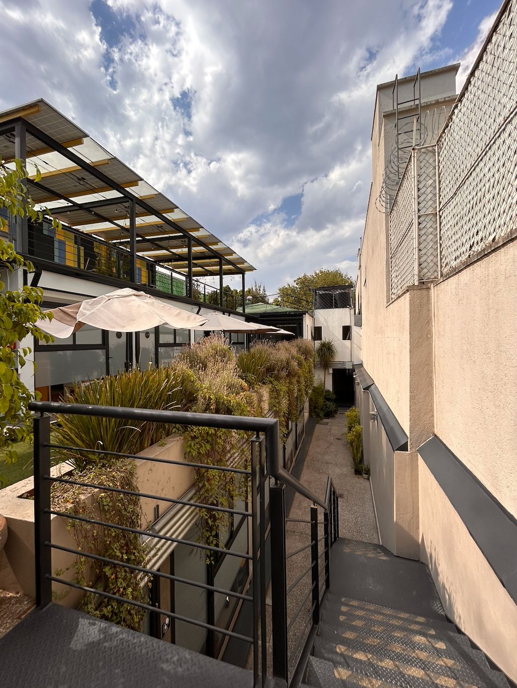 Mario Alberto Arrieta Mendoza-2