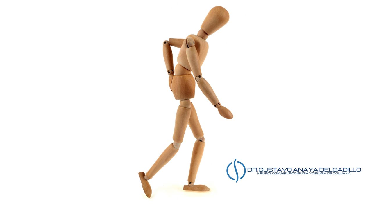 Gustavo Anaya Delgadillo-12