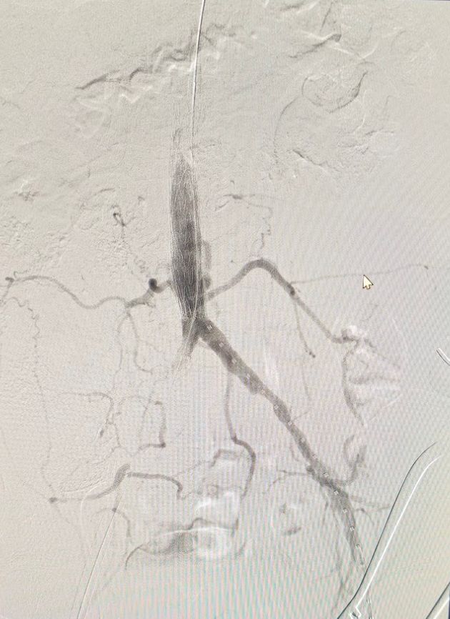 Luis Alberto Garnica León-3