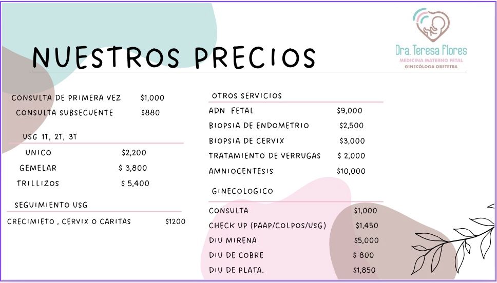 María Teresa Flores Molina-3